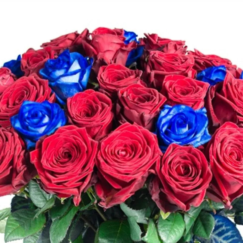Blau-roter Rosenstrauß von MO BLUMEN mit vielen dicht angeordneten roten und blauen Rosen.
